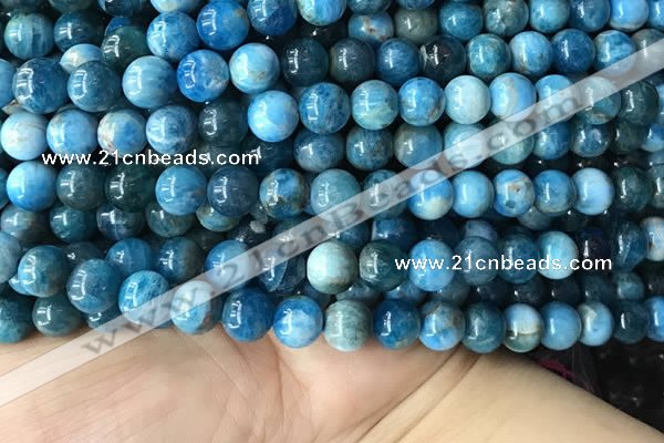 CAP579 15.5 inches 10mm round apatite beads wholesale