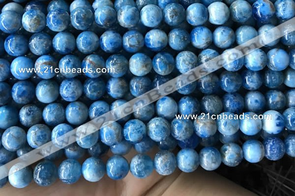 CAP585 15.5 inches 10mm round apatite beads wholesale