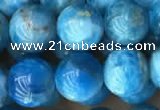 CAP590 15.5 inches 10mm round apatite beads wholesale