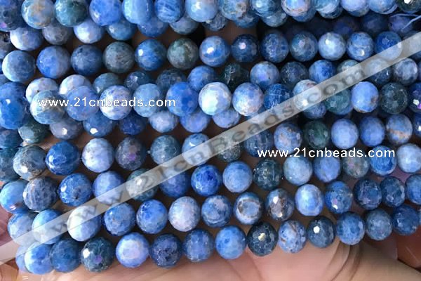 CAP595 15.5 inches 9mm faceted round apatite gemstone beads