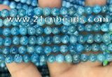 CAP606 15.5 inches 6mm round natural apatite gemstone beads