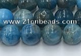 CAP630 15.5 inches 6mm round apatite beads wholesale