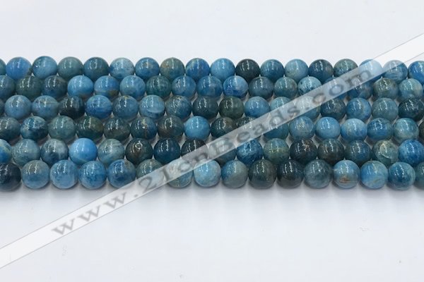 CAP630 15.5 inches 6mm round apatite beads wholesale