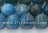 CAP631 15.5 inches 8mm round apatite beads wholesale