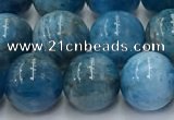 CAP632 15.5 inches 10mm round apatite beads wholesale