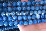 CAP639 15.5 inches 10mm round natural apatite gemstone beads