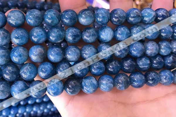 CAP640 15.5 inches 10mm round natural apatite gemstone beads