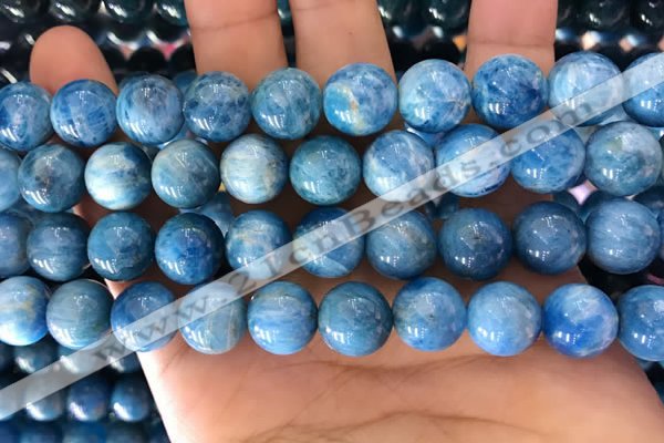 CAP643 15.5 inches 12mm round natural apatite gemstone beads