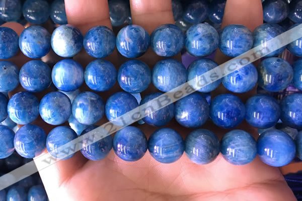 CAP644 15.5 inches 12mm round natural apatite gemstone beads