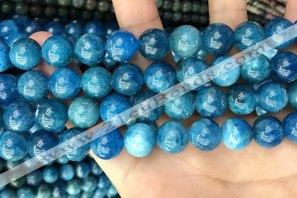 CAP654 15.5 inches 12mm round natural apatite beads wholesale