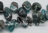 CAP73 15.5 inches 10*20mm nugget dyed apatite gemstone beads wholesale