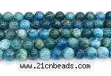 CAP757 15 inches 10mm round apatite gemstone beads wholesale