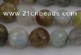 CAQ428 15.5 inches 6mm - 16mm faceted round natural aquamarine beads