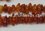 CAR115 16 inches 3*6mm - 4*8mm natural amber chips beads