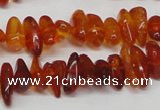 CAR116 16 inches 3*8mm - 4*10mm natural amber chips beads