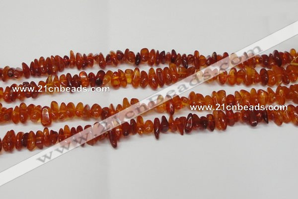 CAR116 16 inches 3*8mm - 4*10mm natural amber chips beads