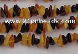 CAR204 24 inches 3*8mm natural amber chips beads wholesale