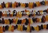 CAR205 32 inches 3*5mm natural amber chips beads wholesale