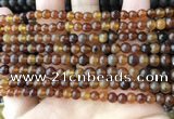 CAR215 15.5 inches 5mm round natural amber beads wholesale