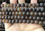 CAR218 15.5 inches 8mm round natural amber beads wholesale