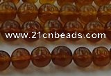 CAR526 15.5 inches 5mm - 6mm round natural amber beads wholesale