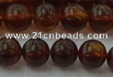 CAR528 15.5 inches 8mm - 9mm round natural amber beads wholesale