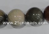 CAT5208 15.5 inches 20mm round aqua terra jasper beads wholesale