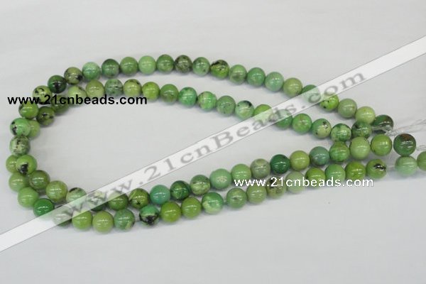 CAU03 10mm australia chrysoprase round gemstone beads Wholesale