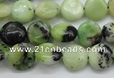 CAU201 15.5 inches 12mm flat round Australia chrysoprase beads