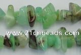 CAU407 15.5 inches 4*8mm - 6*14mm Australia chrysoprase chips beads