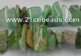 CAU408 15.5 inches 5*10mm - 10*15mm Australia chrysoprase chips beads