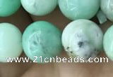 CAU423 15.5 inches 9mm round Australia chrysoprase beads