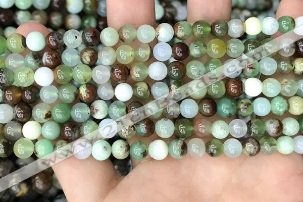 CAU435 15.5 inches 6mm round Australia chrysoprase beads wholesale