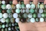 CAU438 15.5 inches 12mm round Australia chrysoprase beads wholesale