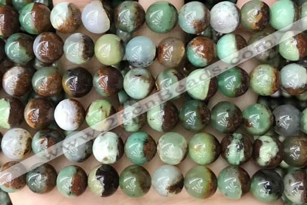 CAU455 15.5 inches 10mm - 11mm round Australia chrysoprase beads