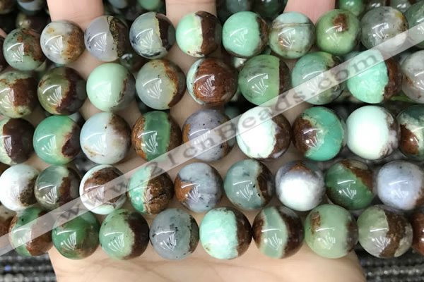 CAU457 15.5 inches 12mm - 13mm round Australia chrysoprase beads