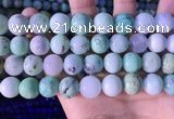 CAU470 15.5 inches 14mm round Australia chrysoprase beads