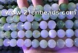 CAU474 15.5 inches 11mm round Australia chrysoprase beads