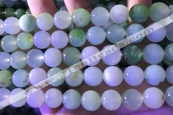 CAU475 15.5 inches 13mm round Australia chrysoprase beads