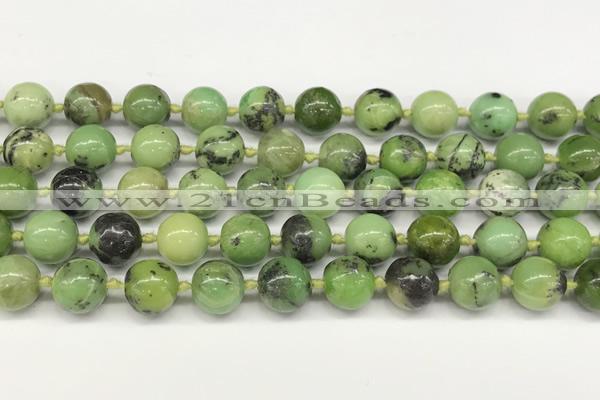 CAU541 15.5 inches 10mm round Australia chrysoprase gemstone beads