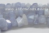 CBC06 15.5 inches 12mm blue chalcedony chips beads wholesale