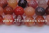 CBC403 15.5 inches 10mm A grade round orange chalcedony beads