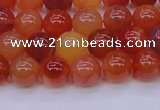 CBC413 15.5 inches 10mm AA grade round orange chalcedony beads