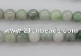 CBJ609 15.5 inches 8mm round jade beads wholesale