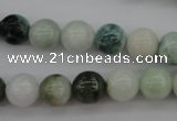 CBJ610 15.5 inches 10mm round jade beads wholesale