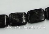 CBT07 16 inches 15*20mm rectangle natural biotite beads wholesale