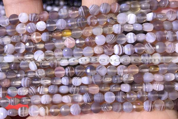 CCB1052 15 inches 4mm faceted coin botswana agate beads