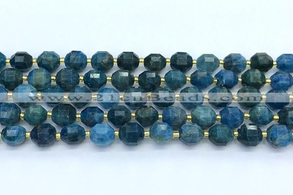 CCB1265 15 inches 9*10mm faceted apatite gemstone beads