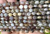 CCB1743 15 inches 6mm faceted coin gobi agate beads
