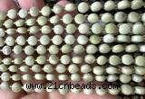 CCB1789 15 inches 6mm faceted coin Alashan jasper beads